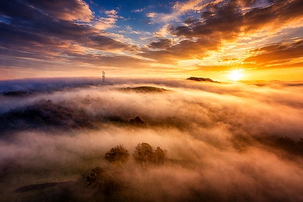 Andrew Newman Photography